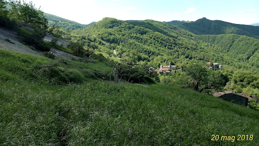Photo 1 de Leofara