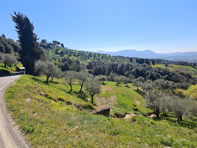 Photo 1 de Villa Forci
