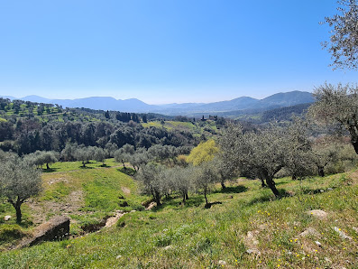 Photo 2 de Villa Forci