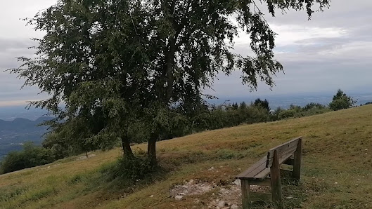 Photo 3 de Monte Tomba