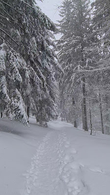 Photo 3 de Col des Bagenelles