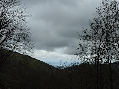 Photo 2 de Brione