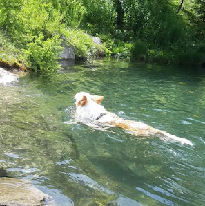 Photo 1 de Grand-Brissogne