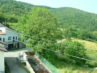 Photo 2 de Selva di Cariseto