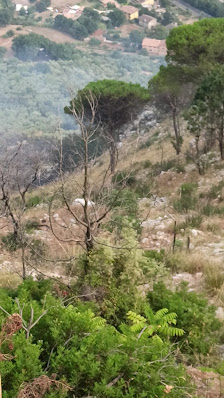 Photo 3 de Passo della Quercia del Monaco(da Fondi)