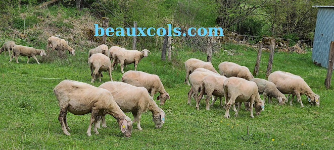 Photo 1 de Col du Bouleau