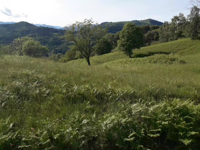 Photo 3 de Coiromonte