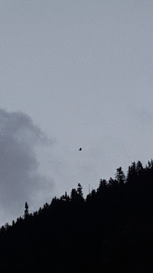 Photo 3 de Riobianco