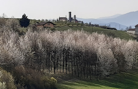 Photo 1 de Rocca Ciglié