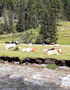 Photo 1 de Tauern Tunnel