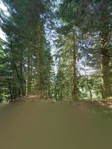 Photo 2 de Monte Tenchia - Pian delle Streghe