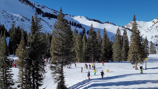 Photo 2 de Alta Ski Area