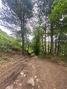 Photo 1 de Passo del Ginestro
