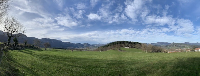 Photo 2 de Anzó