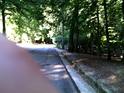 Photo 3 de Foresta Umbra
