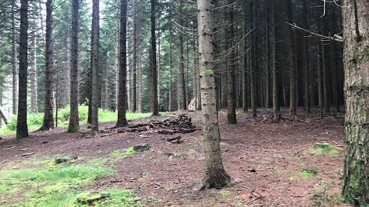 Photo 3 de Rifugio Pratizzano