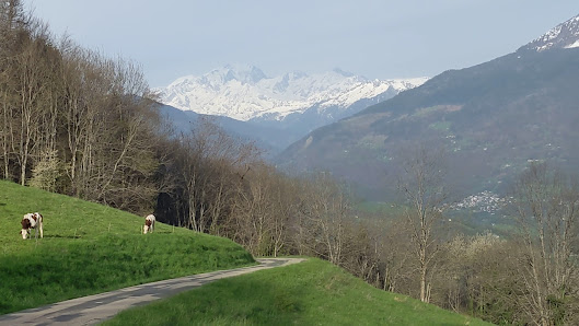 Photo 3 de Collet de Tamié
