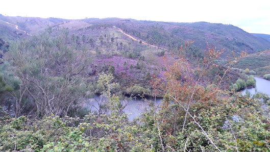 Photo 1 de Vale de Armeiro