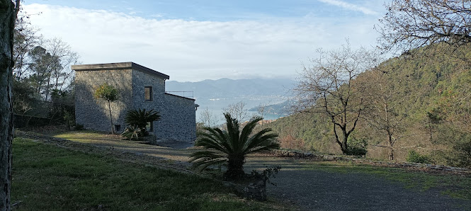 Photo 2 de Zanego