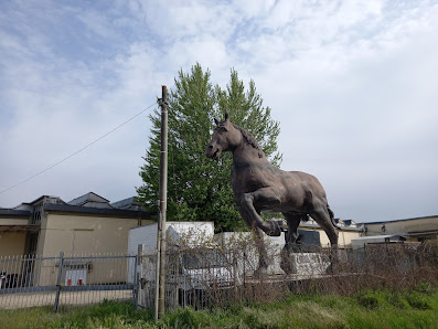 Photo 1 de San Donnino