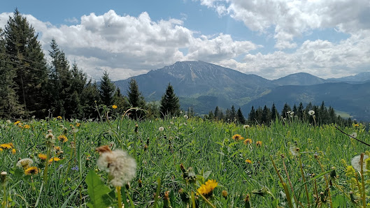 Photo 1 de Hochbärneck