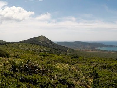 Photo 1 de Monte Doglia