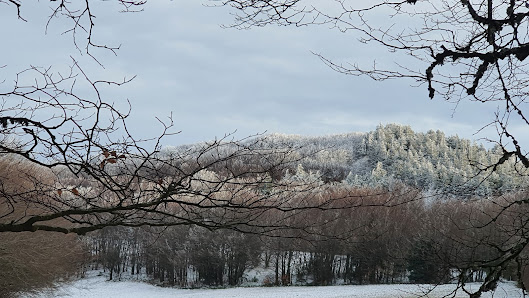 Photo 2 de Col de Salettes