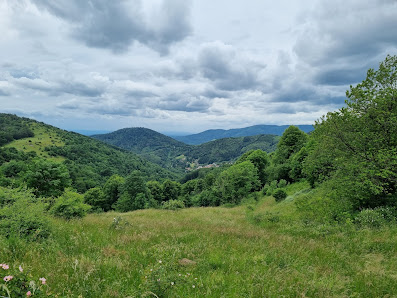 Photo 1 de Col du Hundsruck