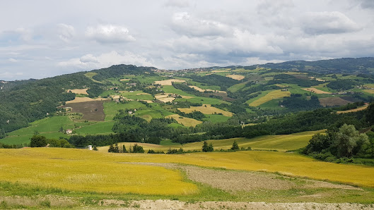 Photo 1 de Monzuno