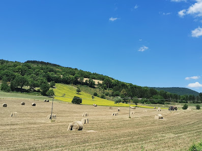 Photo 1 de Saccovescio