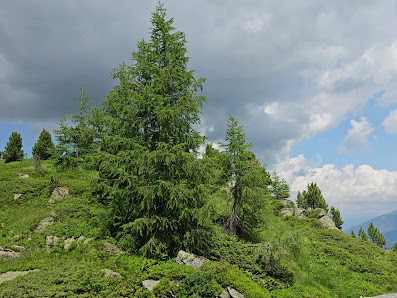 Photo 3 de Turracherhohe