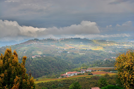 Photo 1 de Rodello