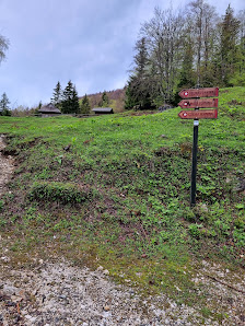 Photo 3 de Podvolovljek - Rakove ravni