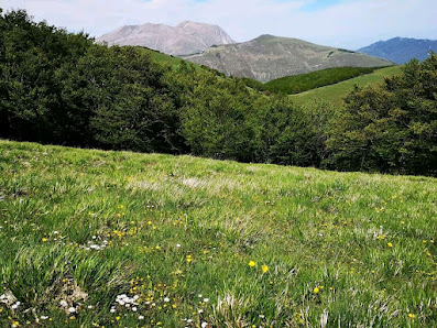 Photo 2 de Accumoli