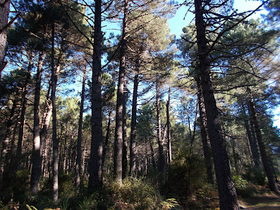 Photo 1 de Bocca di Pelza