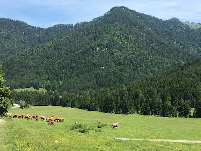 Photo 1 de Windischer Höhe