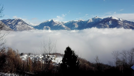 Photo 3 de Domobianca