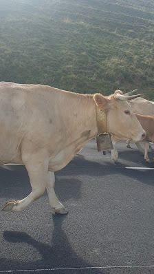 Photo 3 de Col de Soudet