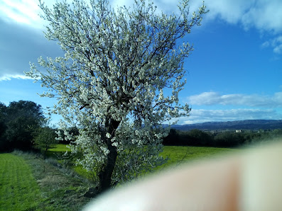 Photo 1 de Les Ventoses
