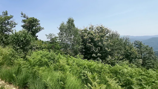 Photo 1 de Alpe Tedesco