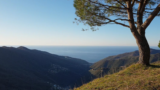 Photo 3 de Monte Fasce
