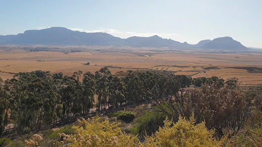 Photo 2 de Piekeniers Kloof Pass