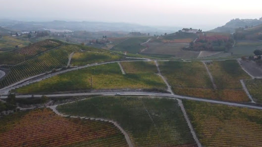 Photo 3 de Monforte d'Alba