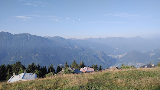 Photo 1 de Prato Maslino