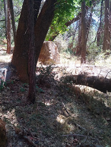 Photo 1 de Bear Creek (via Dirt road)