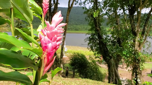 Photo 3 de Grand Etang Lake