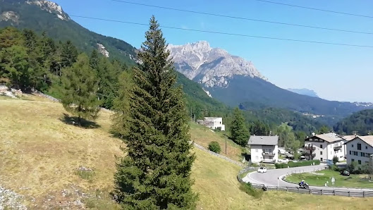 Photo 2 de Carbonare