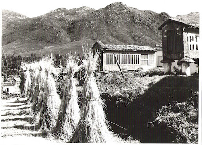Photo 2 de Torneiros