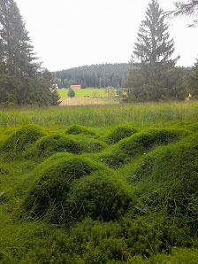 Photo 1 de Col du Surceneux