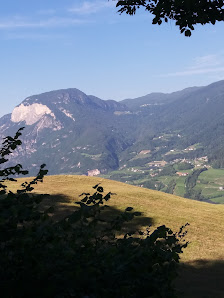 Photo 1 de Maso Salamon - Salamonhof